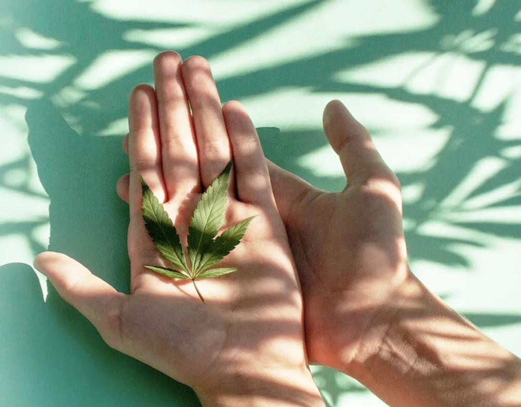 CBD vs THC: Understanding the Difference