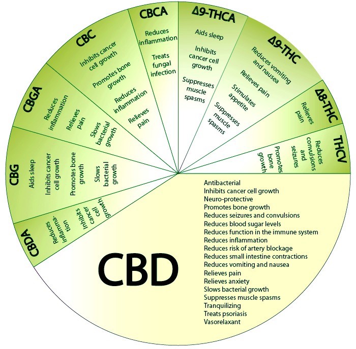 miracle leaf blog full spectrum cbd
