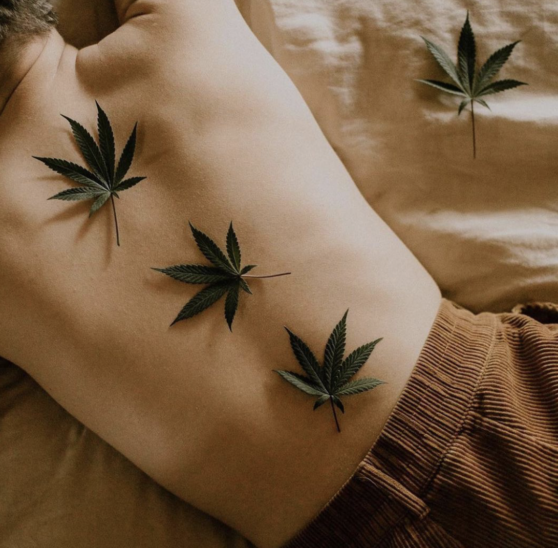 5 Ways to Upgrade Your Daily Routine Using CBD