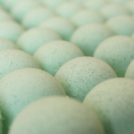 Kush Queen Relieve CBD Bath Bomb