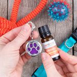 PlantTherapy essential oil for dogs paw diffuser