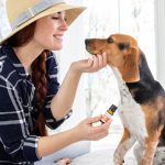 PlantTherapy essential oil for dogs paw diffuser