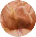 Experince Image