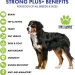 king kanine superfoods for dogs