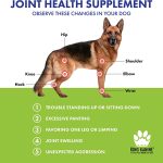 king kanine joints superfoods for dogs cats