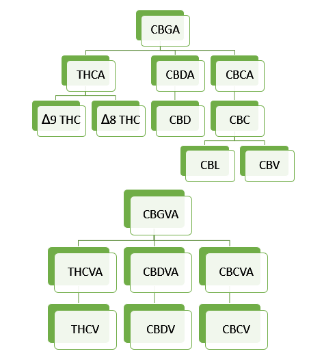 miracle leaf cbd blog