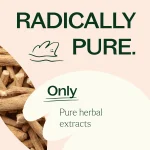 plant therapy Ashwagandha capsules