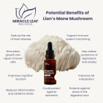 Plant therapy Lion's mane mushroom