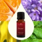 plant therapy Sensual Essential Oil Blend